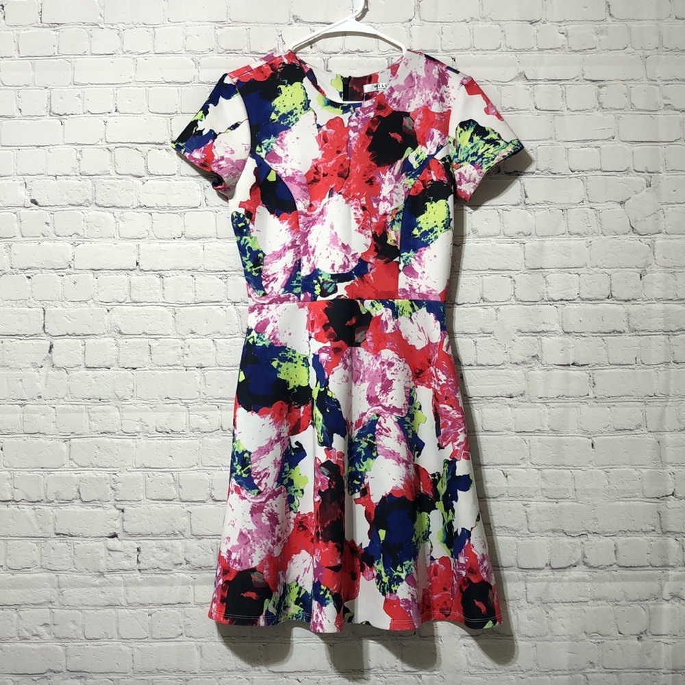 Milly dress short sleeve
